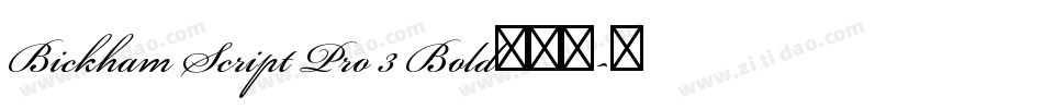 Bickham Script Pro 3 Bold生成器字体转换